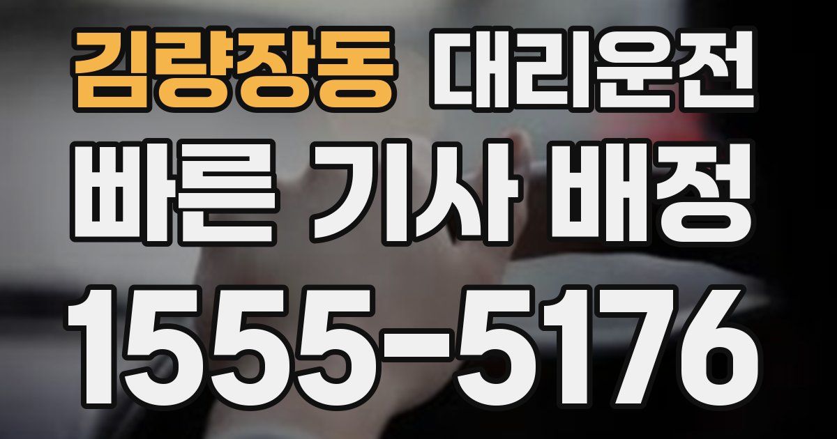 일일대리기사