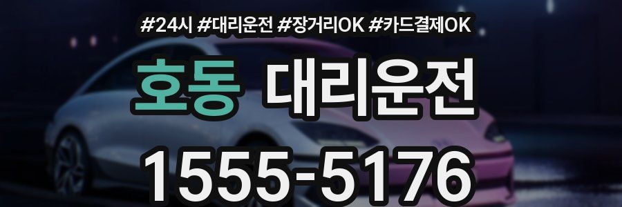 호동 대리운전