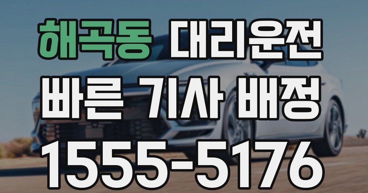 일일대리기사