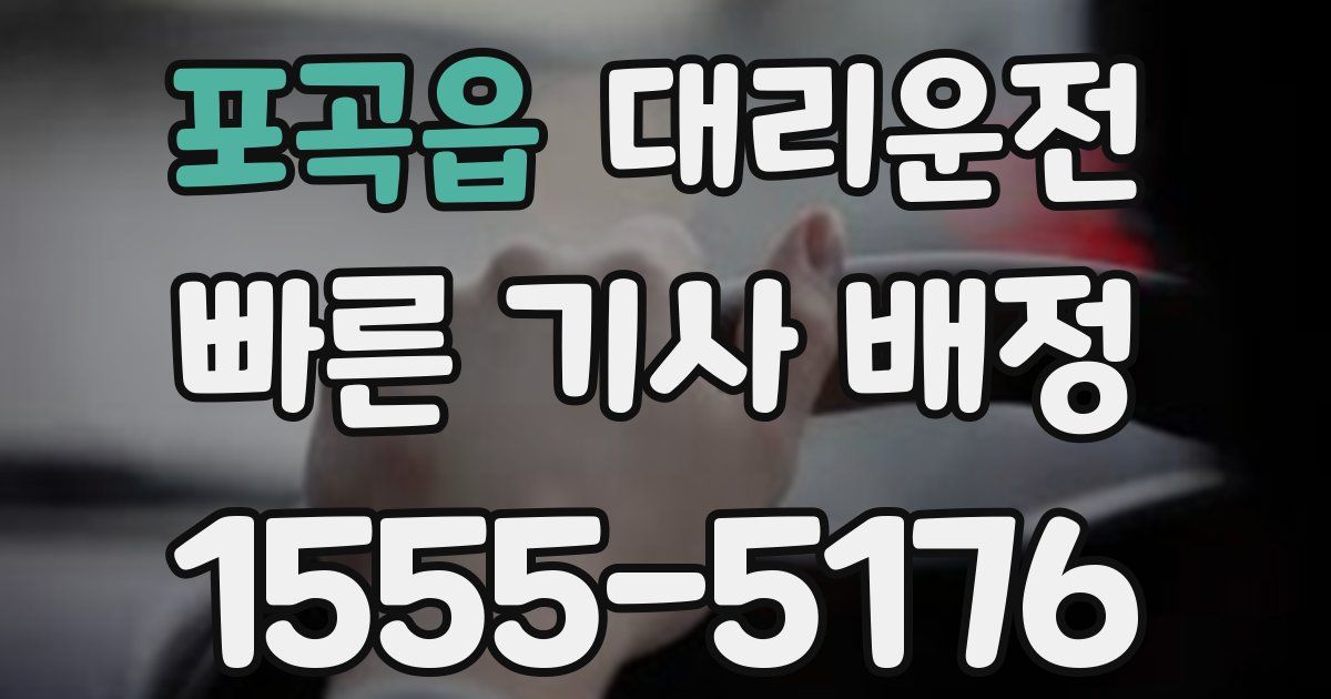 일일대리기사