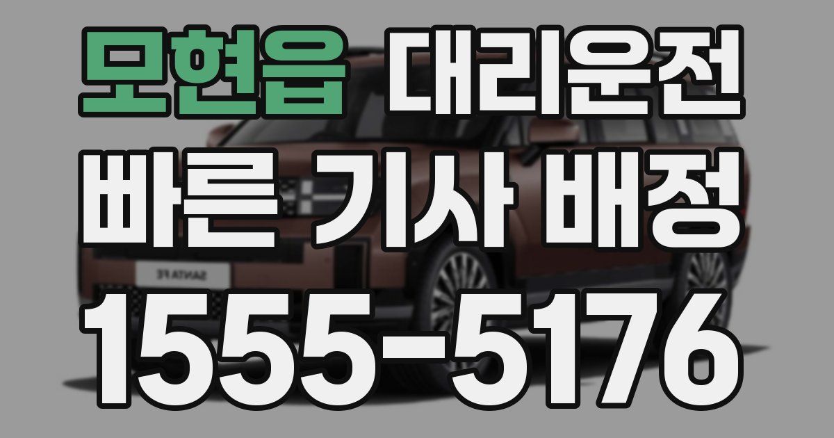 일일대리기사