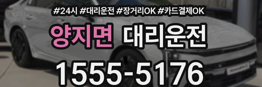 양지면 대리운전
