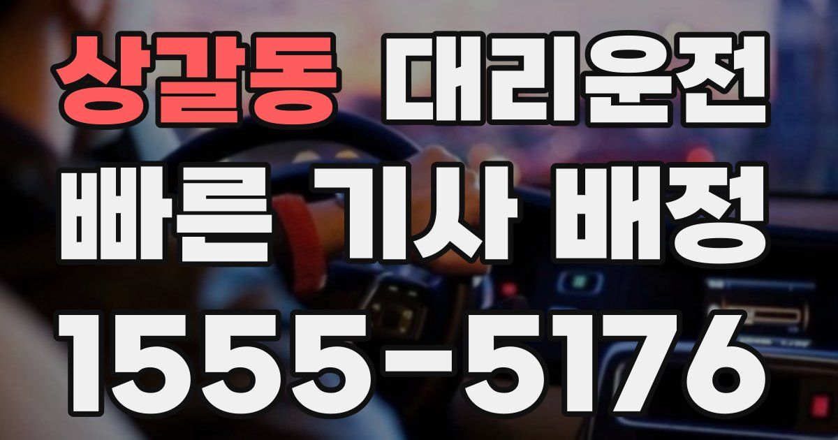 일일대리기사