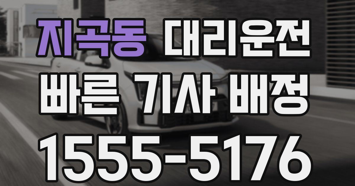 일일대리기사