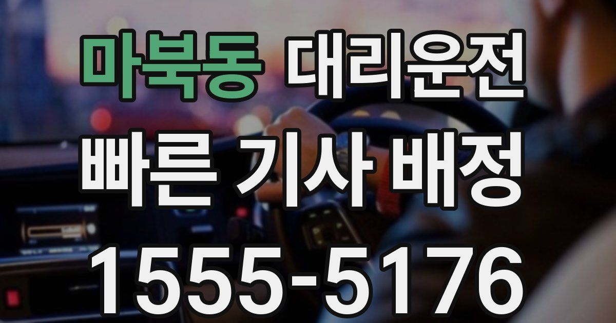 일일대리기사