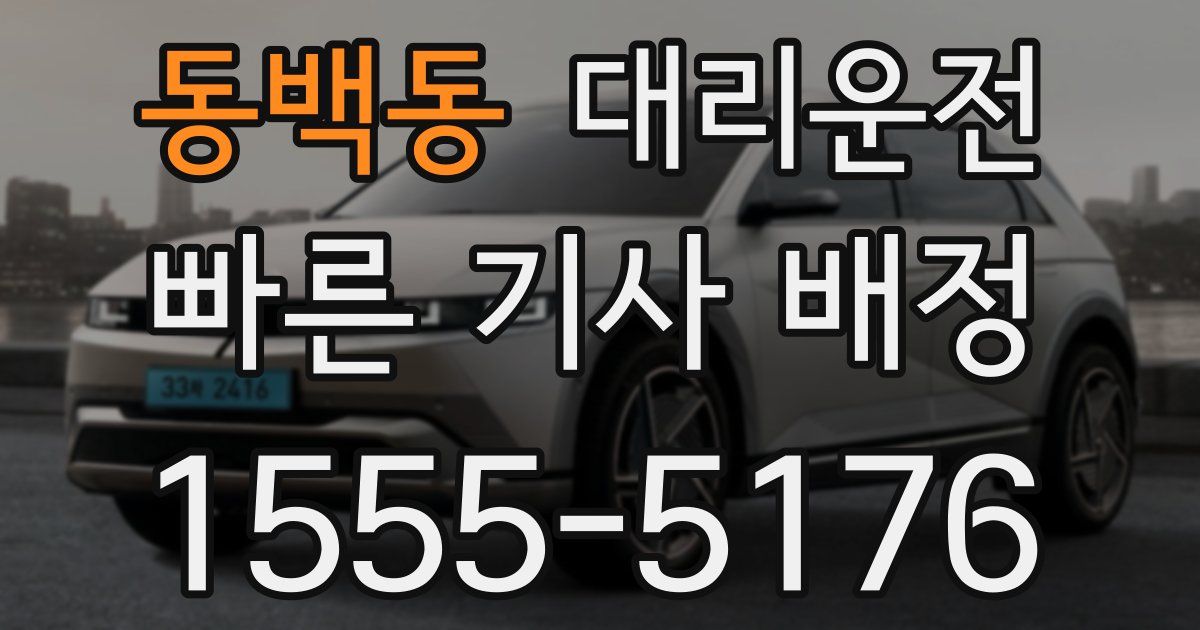 일일대리기사