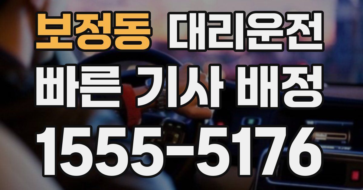 일일대리기사