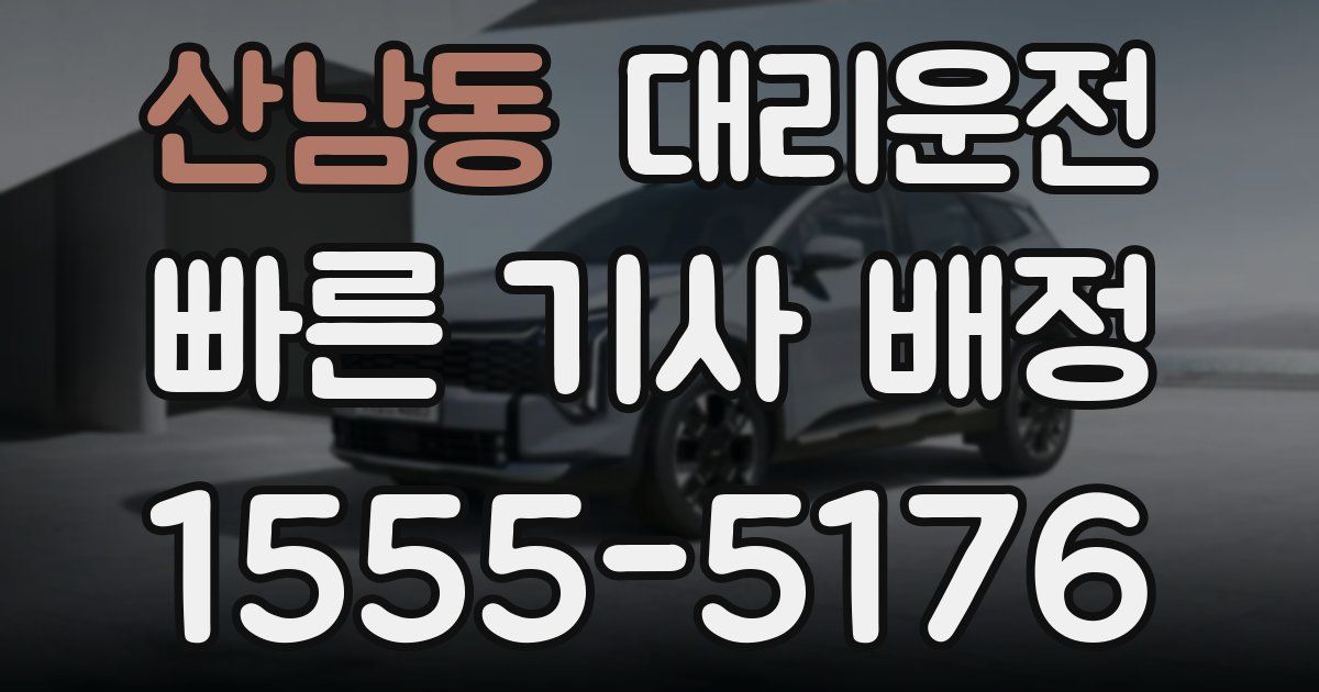 일일대리기사