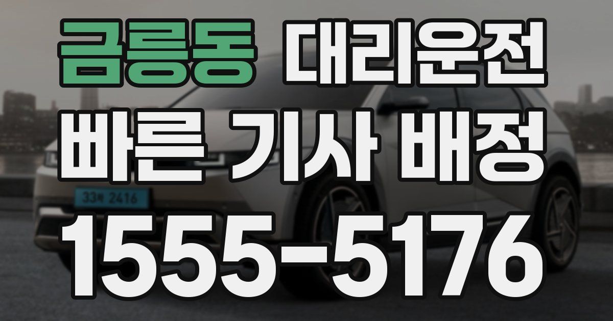 일일대리기사