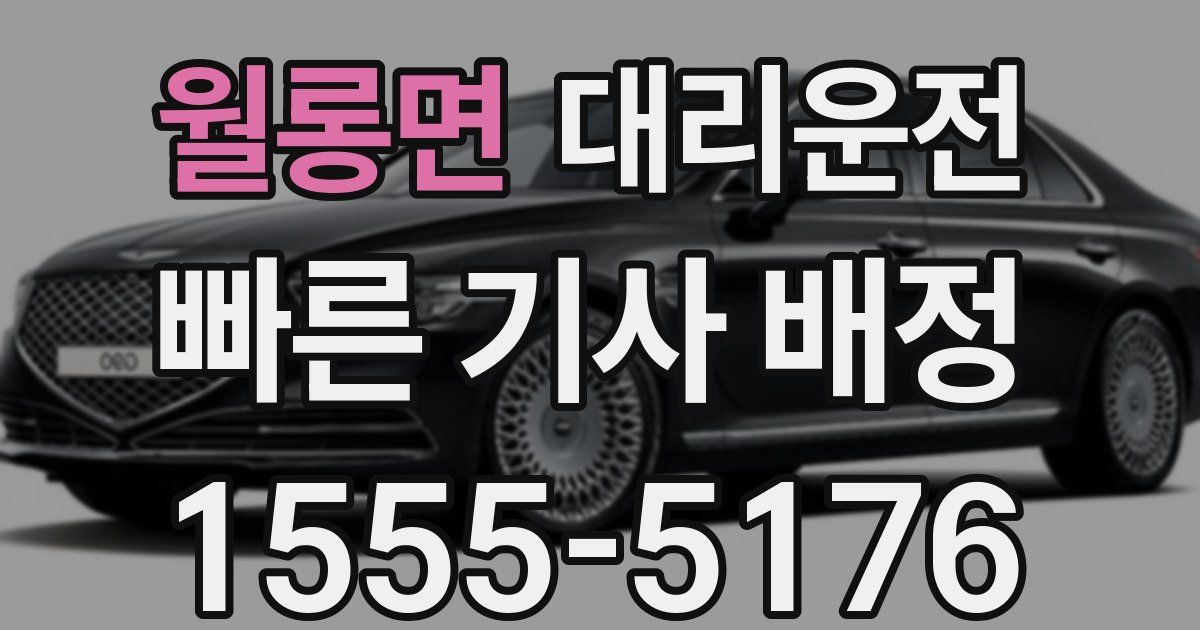 일일대리기사
