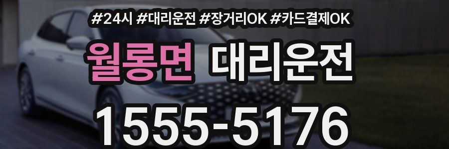 월롱면 대리운전