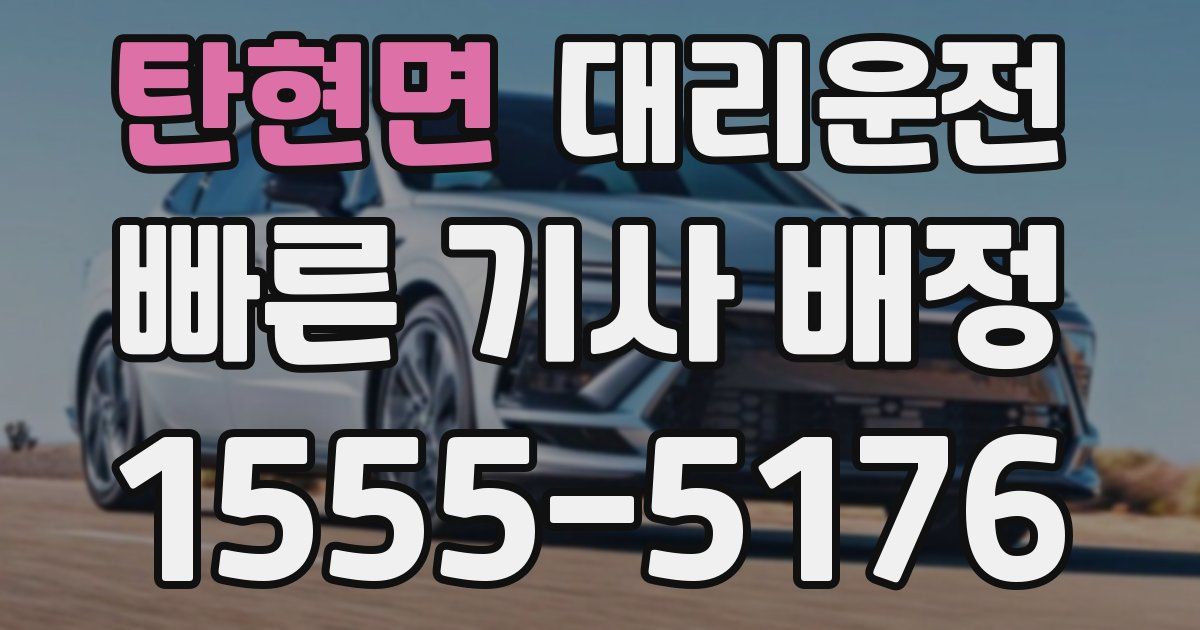 일일대리기사
