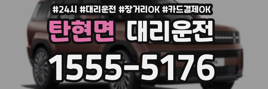 탄현면 대리운전