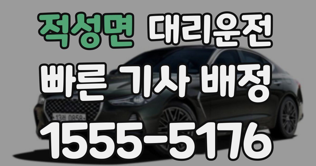일일대리기사