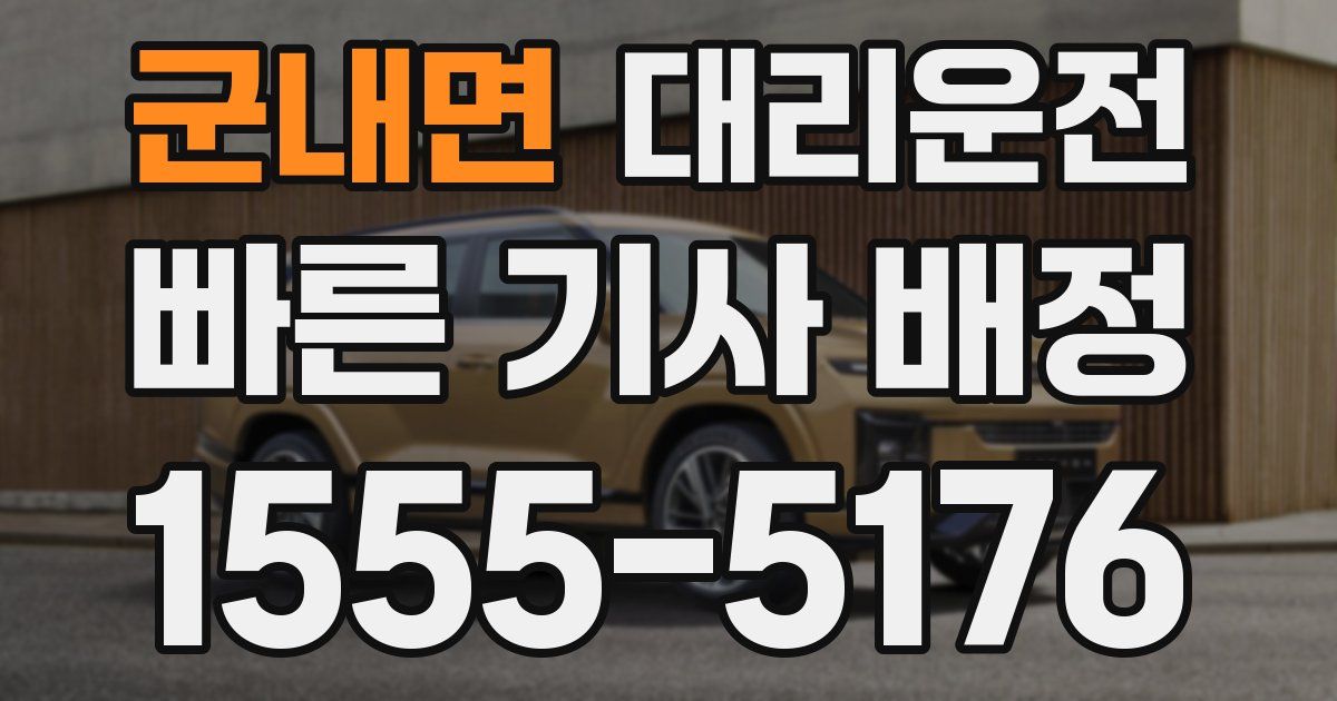 일일대리기사