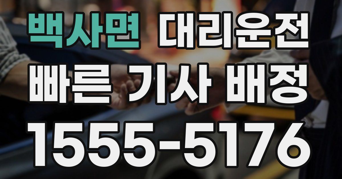 일일대리기사
