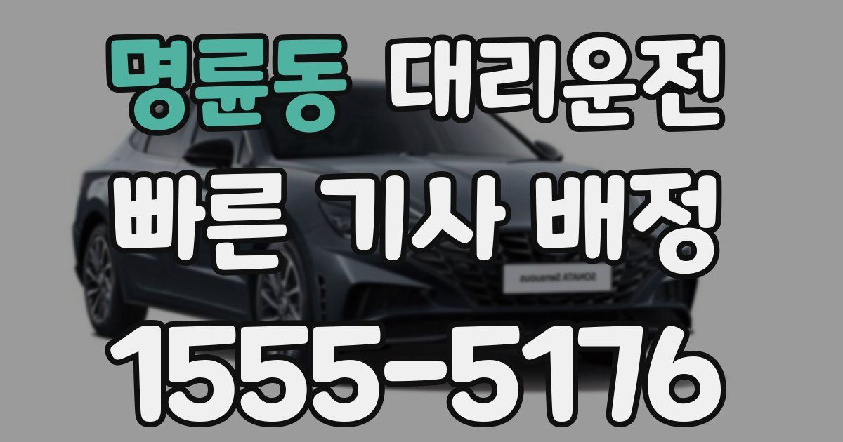 일일대리기사