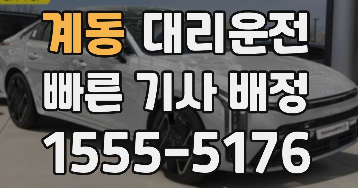 일일대리기사