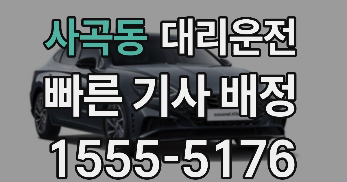 일일대리기사