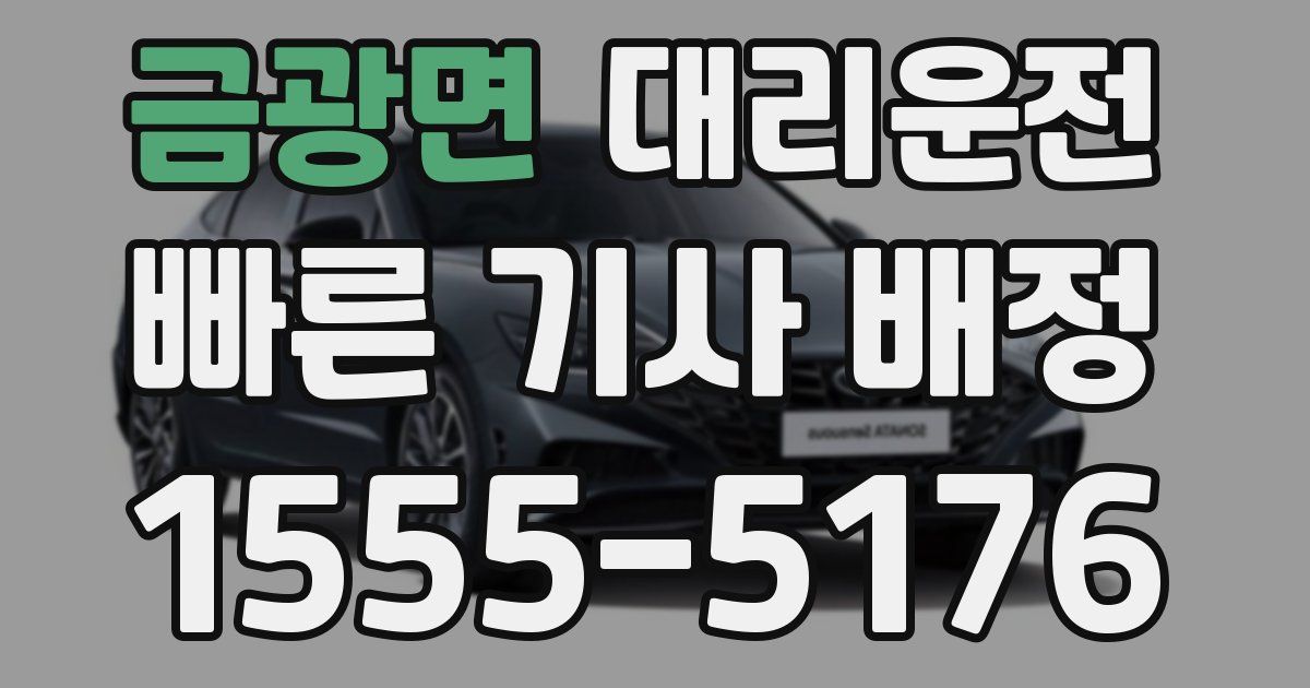 일일대리기사
