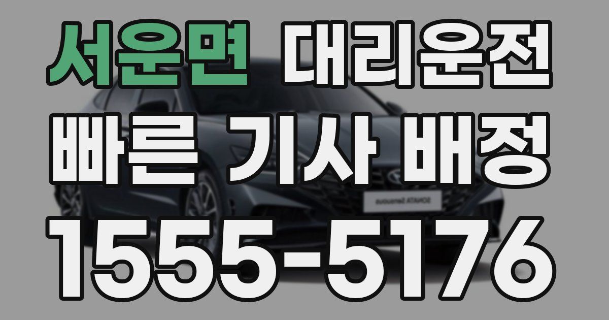 일일대리기사