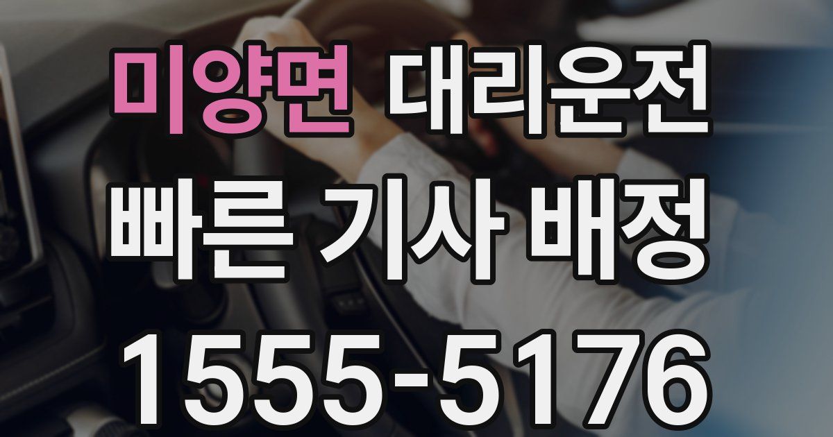 일일대리기사