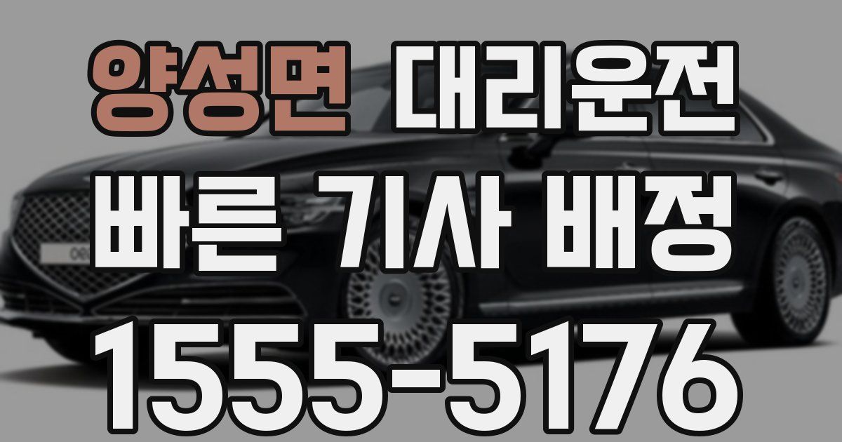 일일대리기사