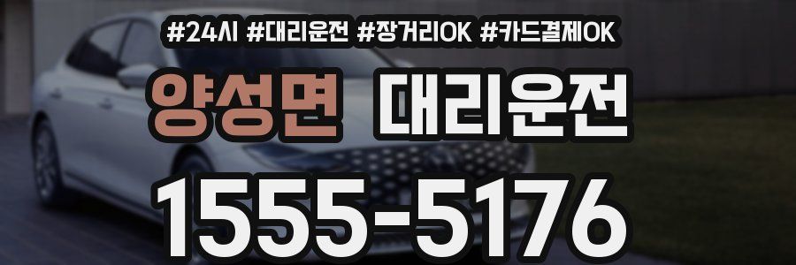양성면 대리운전
