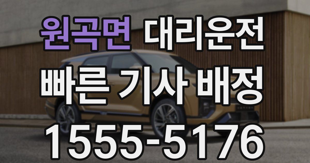 일일대리기사