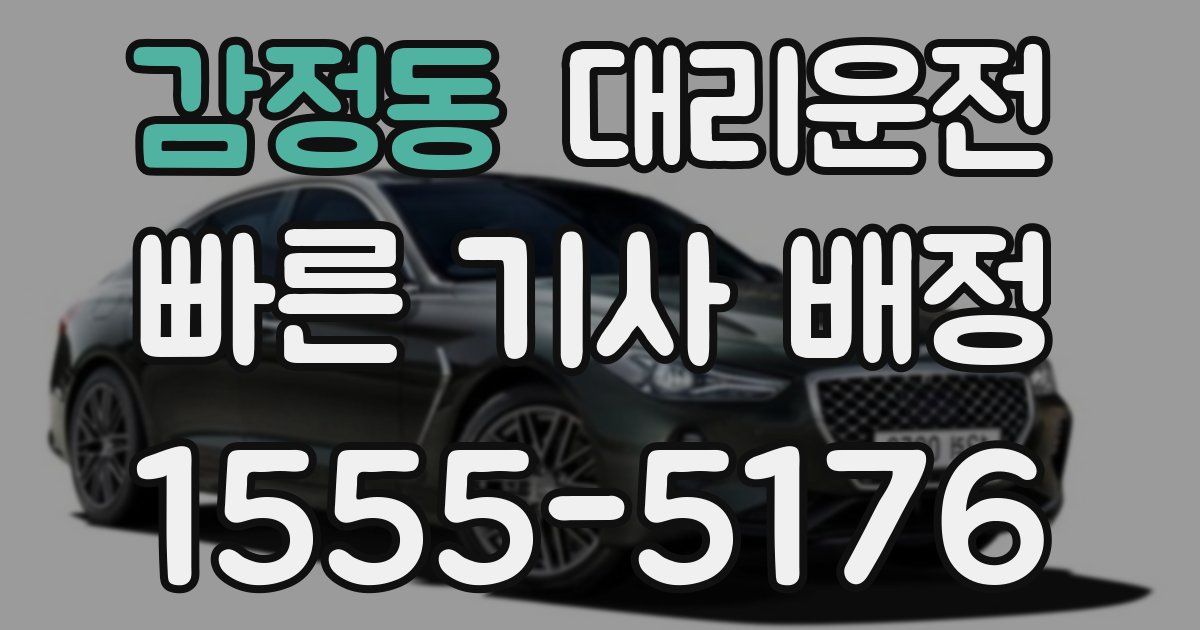 일일대리기사