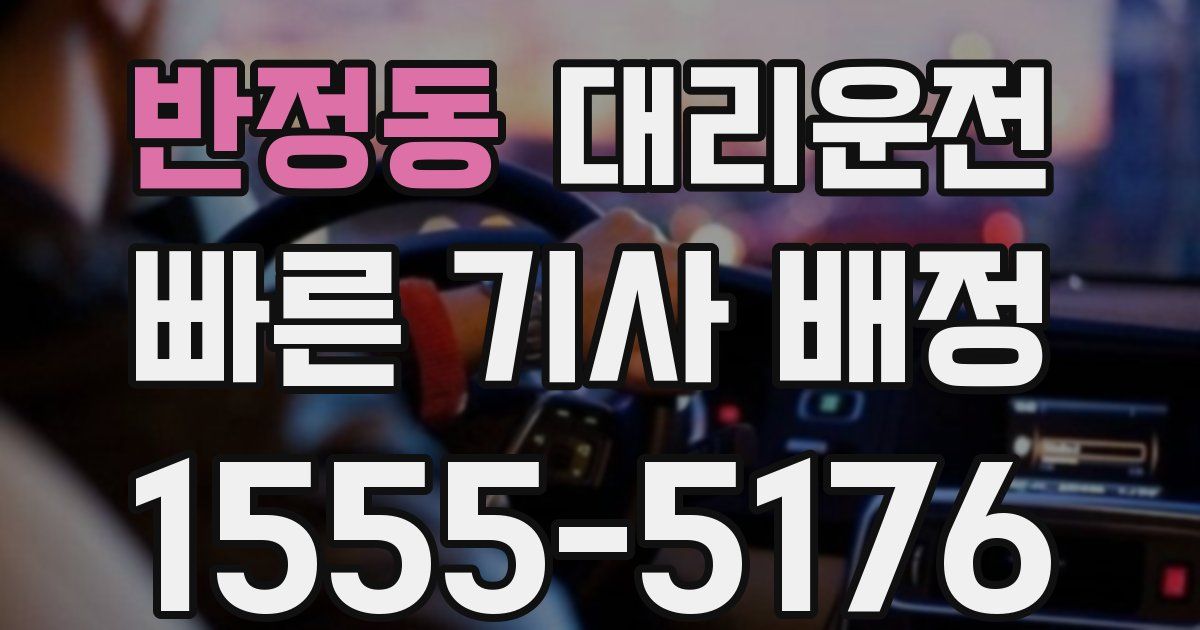 일일대리기사