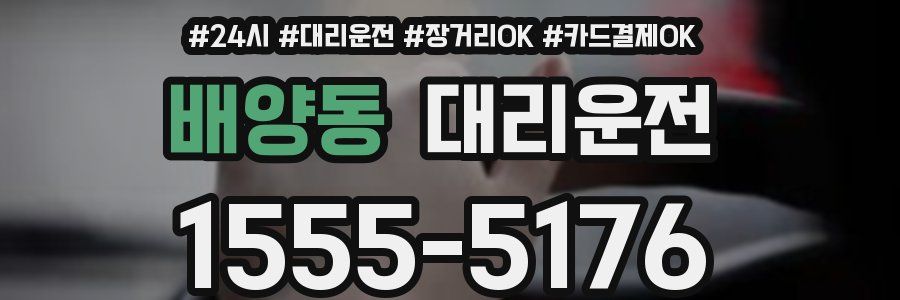 배양동 대리운전