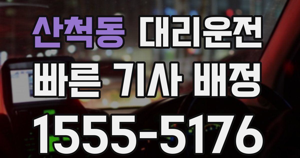 일일대리기사