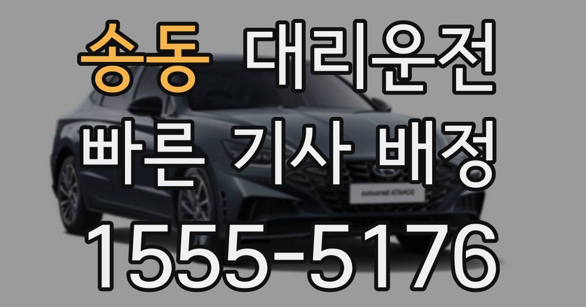일일대리기사