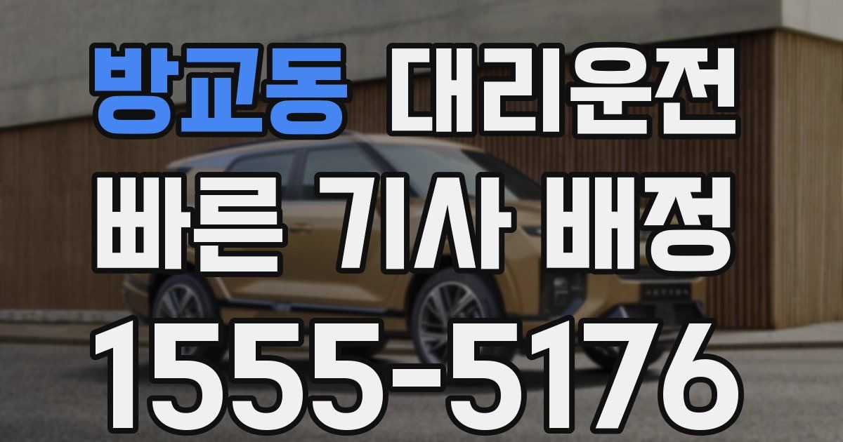 일일대리기사
