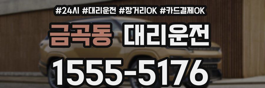 금곡동 대리운전