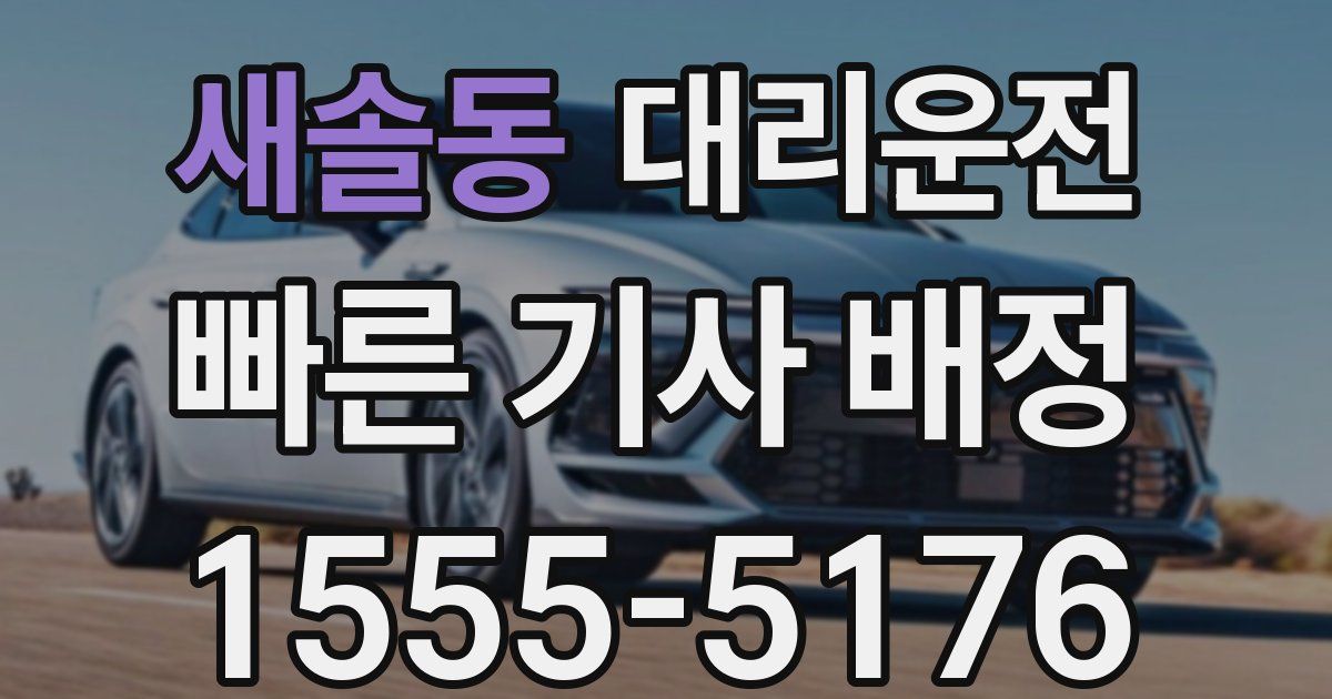 일일대리기사