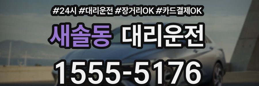 새솔동 대리운전