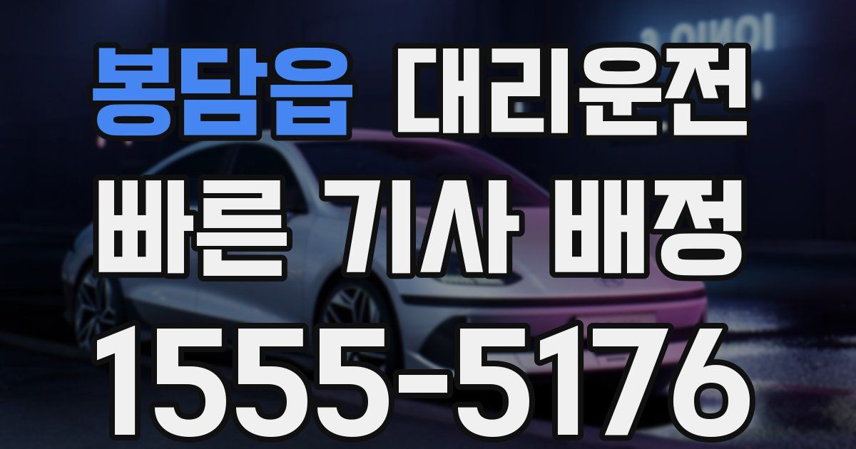 일일대리기사