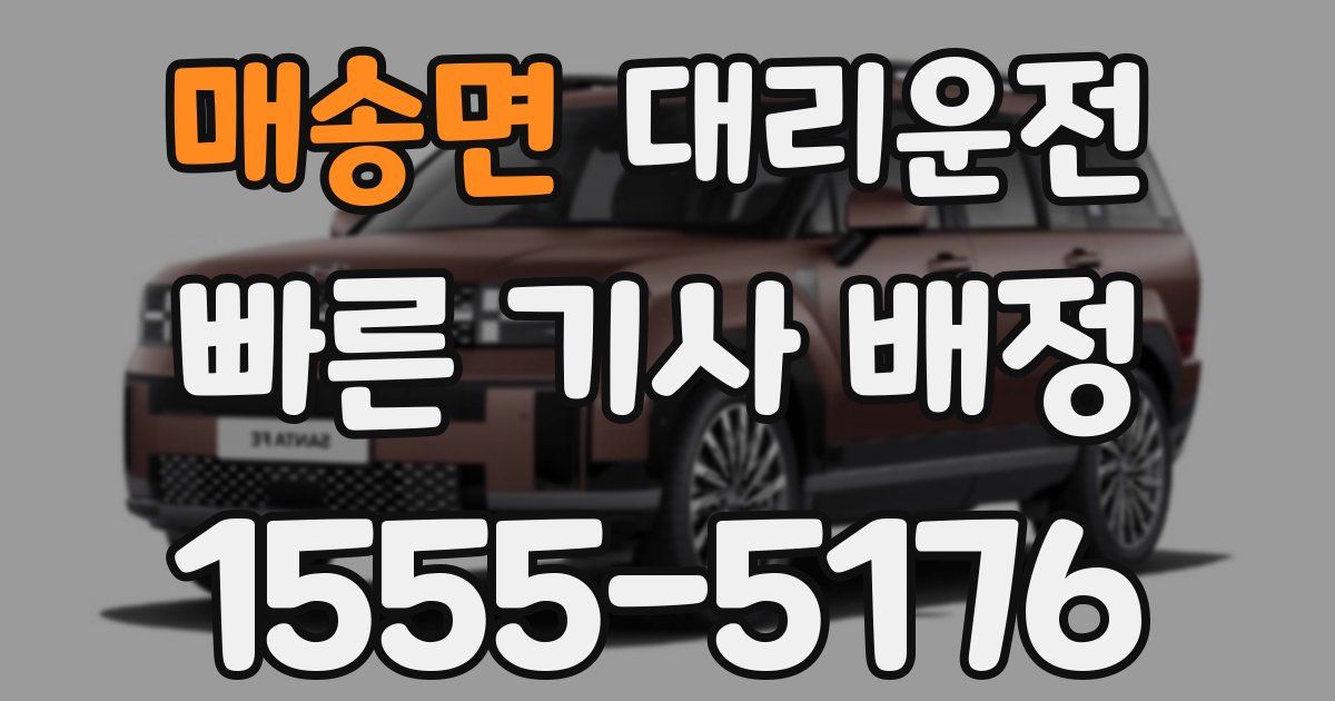 일일대리기사
