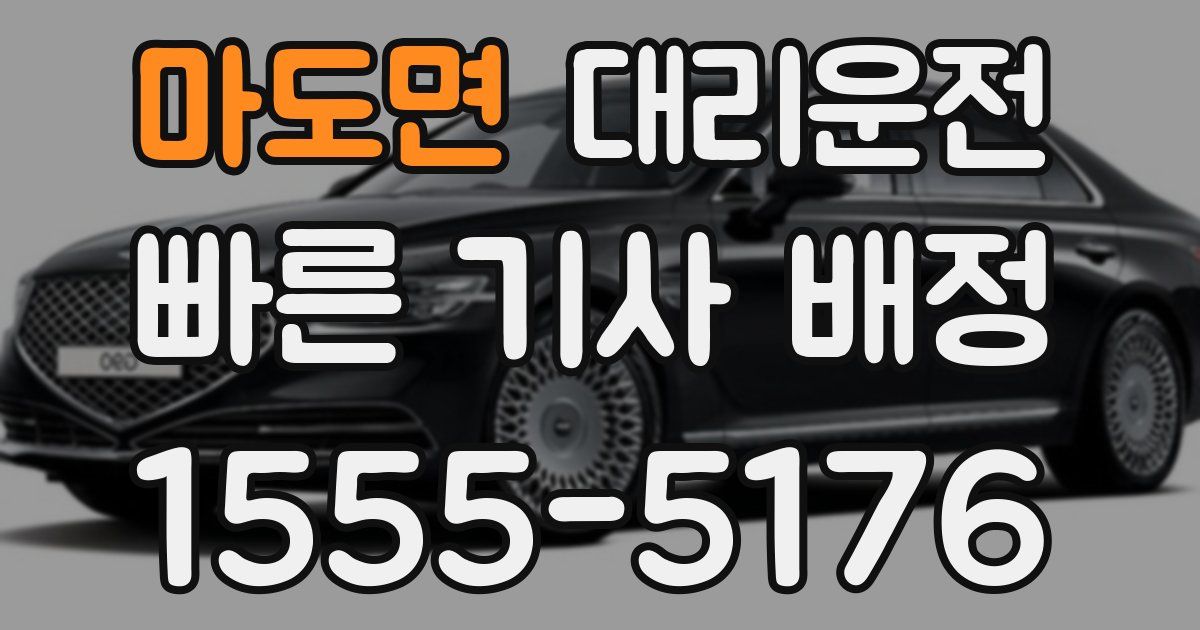 일일대리기사
