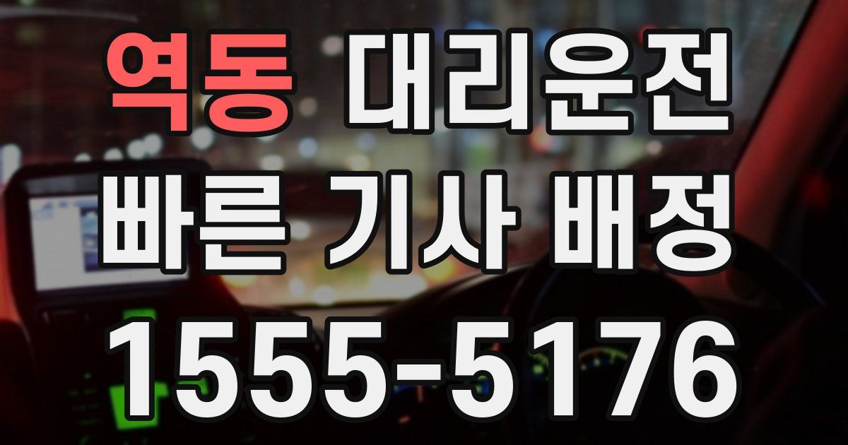 일일대리기사