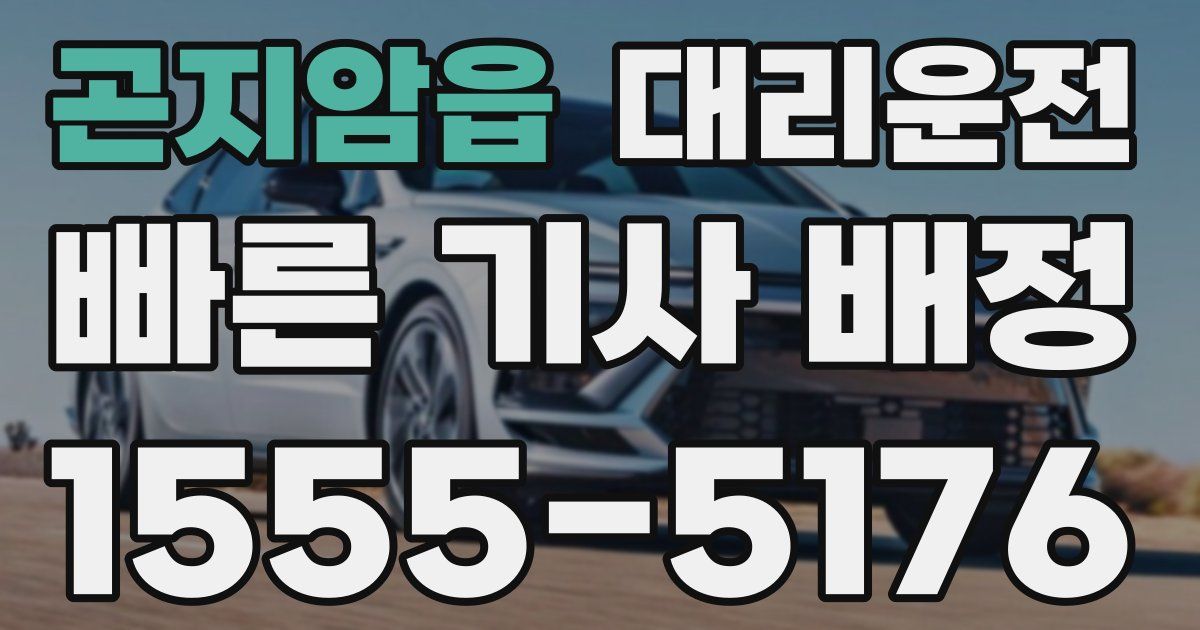 일일대리기사