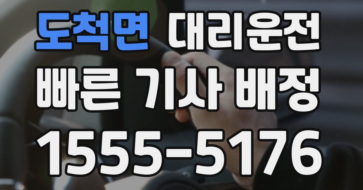 일일대리기사