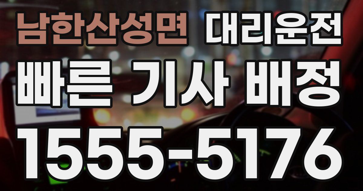 일일대리기사
