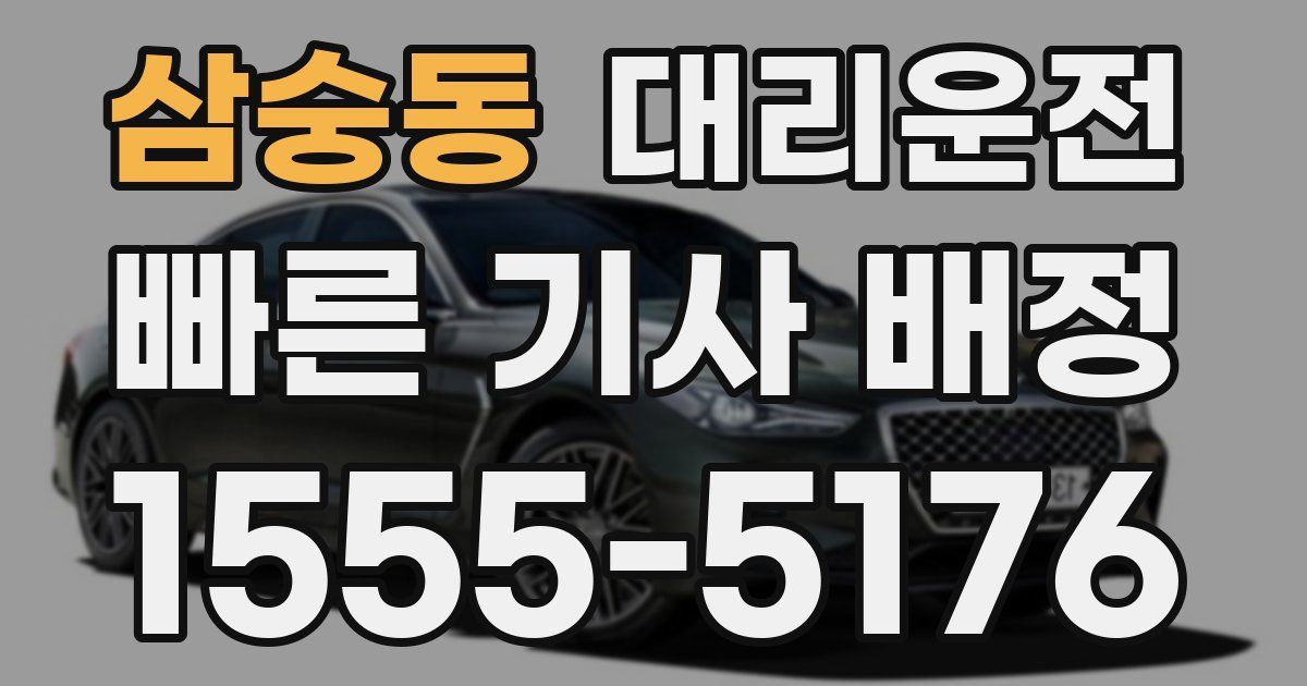 일일대리기사