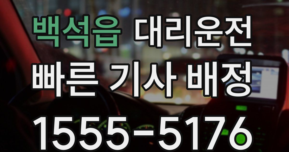 일일대리기사