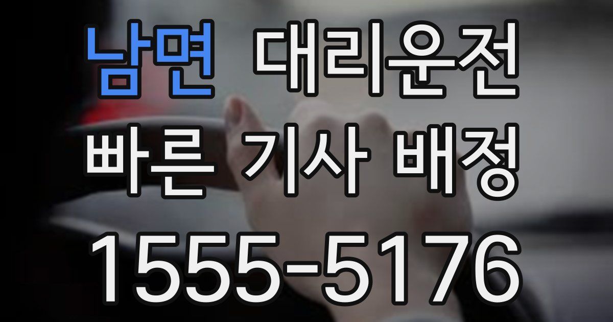 일일대리기사