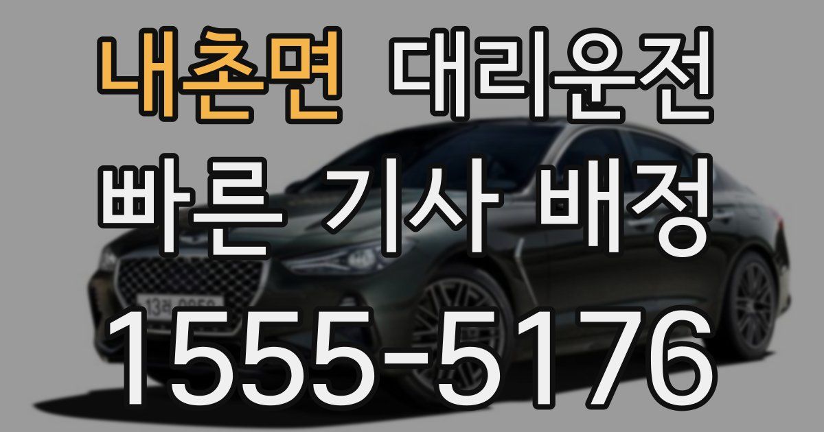 일일대리기사
