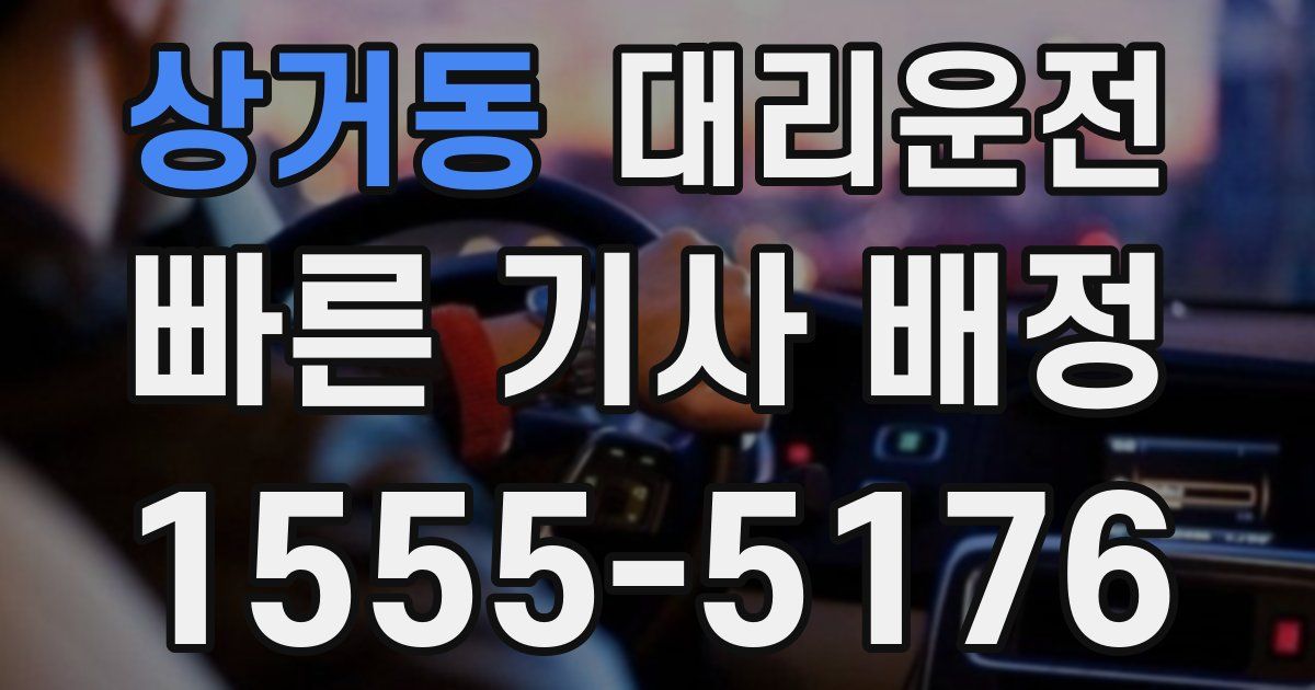 일일대리기사